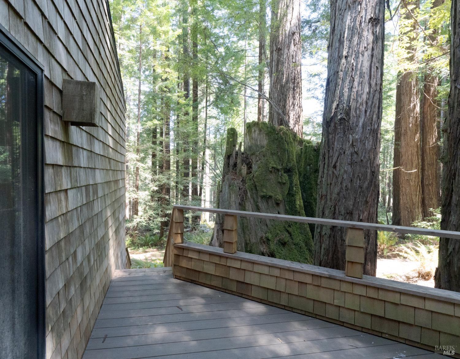 36437 East Ridge Road The Sea Ranch, CA 95497 - Photo 10 of 27