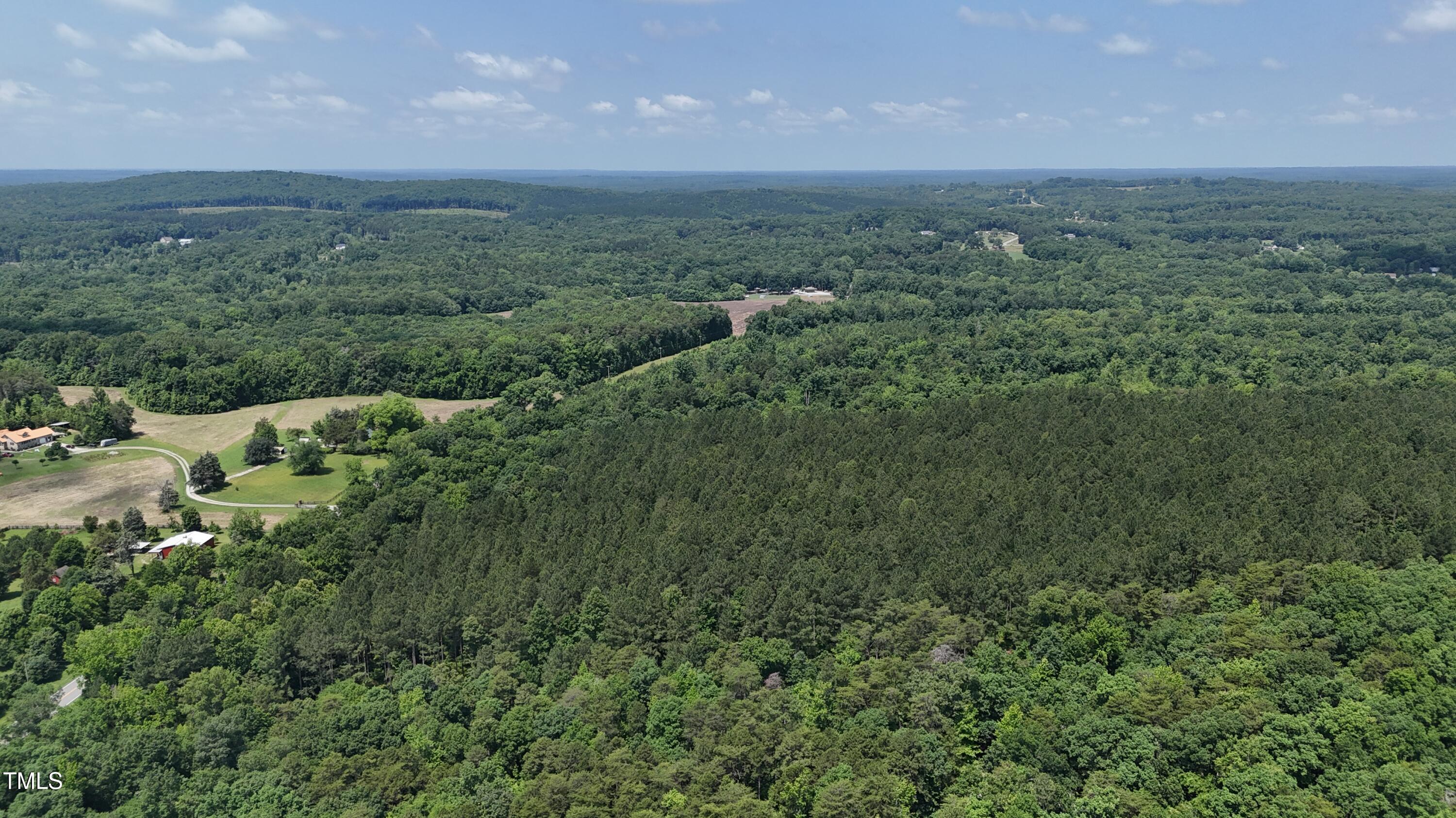 a view of a lush green forest with lots of trees
