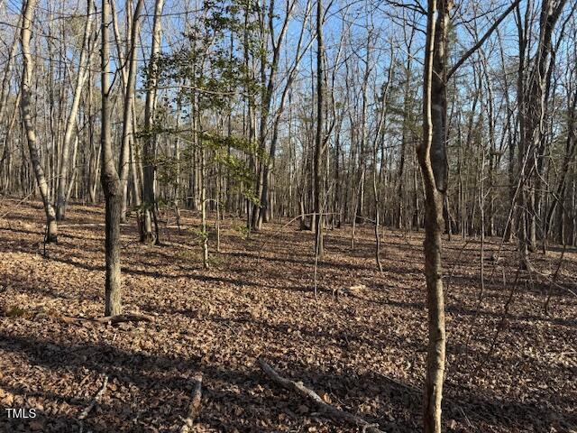0 Thunder Road Rougemont, NC 27572 - Photo 12 of 14 a backyard of a house with lots of green space