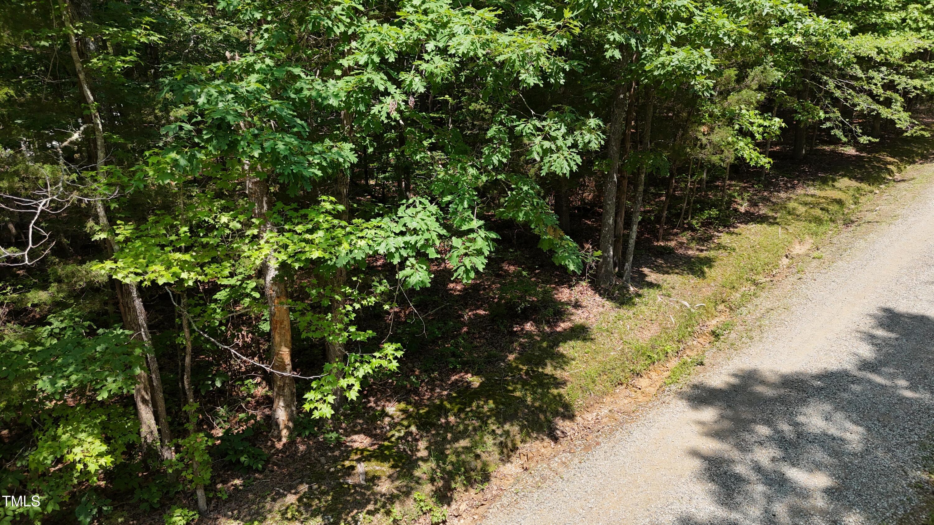 0 Thunder Road Rougemont, NC 27572 - Photo 5 of 14 a view of a tree in a yard