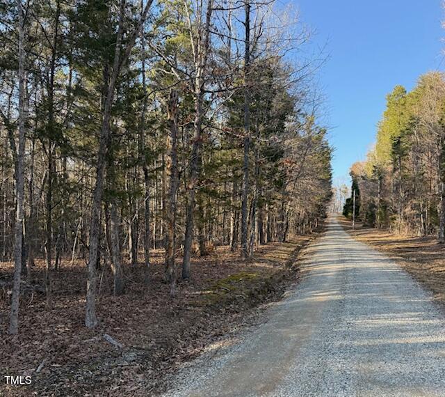 0 Thunder Road Rougemont, NC 27572 - Photo 6 of 14 a view of road and trees