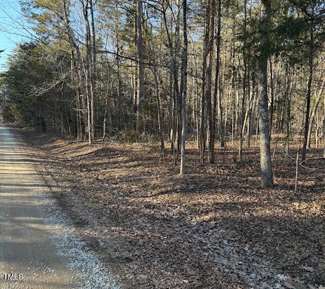0 Thunder Road Rougemont, NC 27572 - Photo 7 of 14 a view of outdoor space with trees
