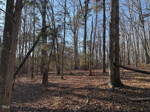 0 Thunder Road Rougemont, NC 27572 - Photo 8 of 14 a view of outdoor space with deck and yard