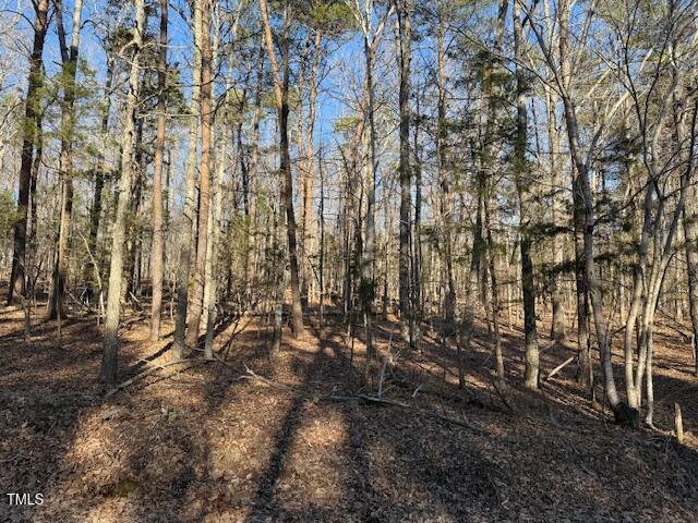 0 Thunder Road Rougemont, NC 27572 - Photo 10 of 14 a view of outdoor space with lots of trees