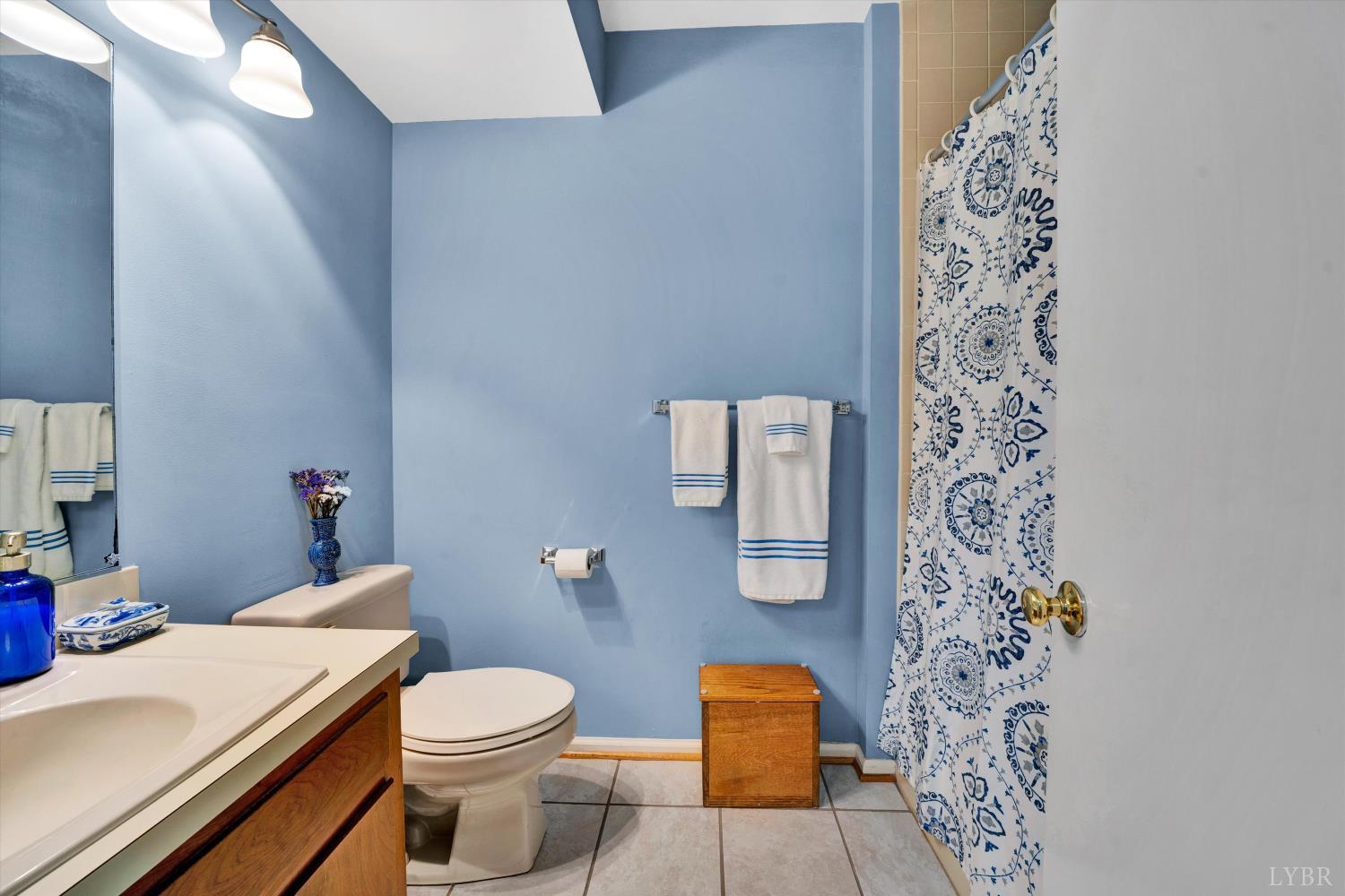 1135 Rugby Road Lynchburg, VA 24503 - Photo 44 of 58 Gallery Image 44