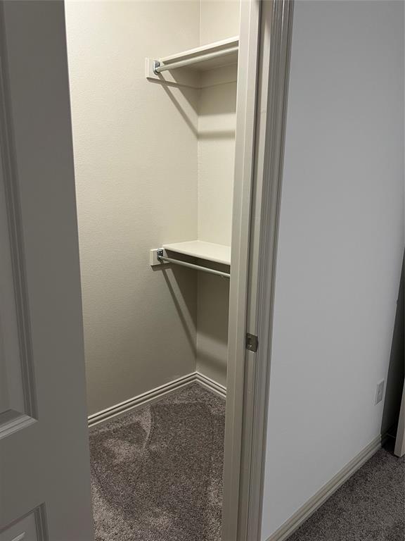 6041 Roper Road McKinney, TX 75070 - Photo 16 of 24 Recessed closet space featuring carpet flooring and base molding