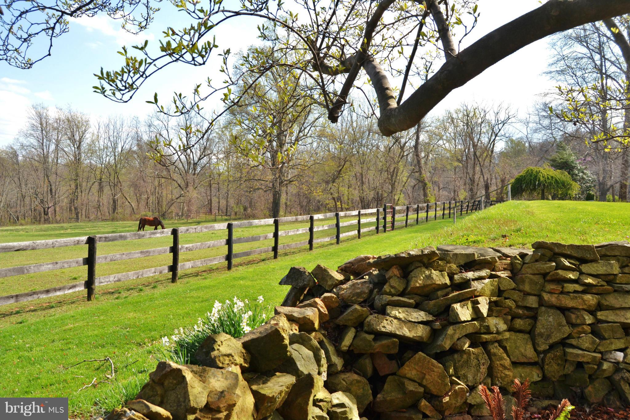 17542 Canby Road Leesburg, VA 20175 - Photo 23 of 30 Stone Walls