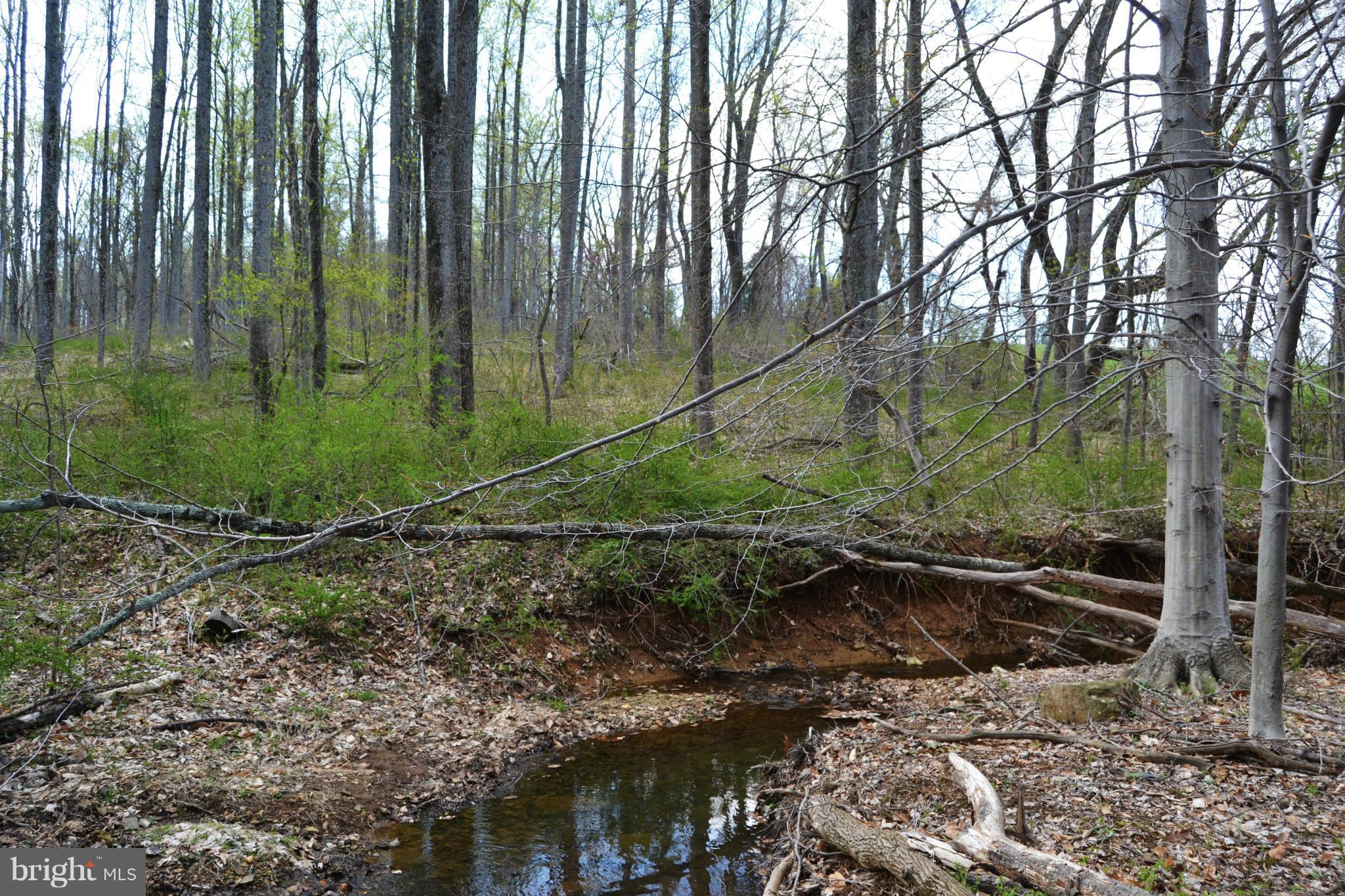 17542 Canby Road Leesburg, VA 20175 - Photo 25 of 30 YEAR-ROUND CREEK