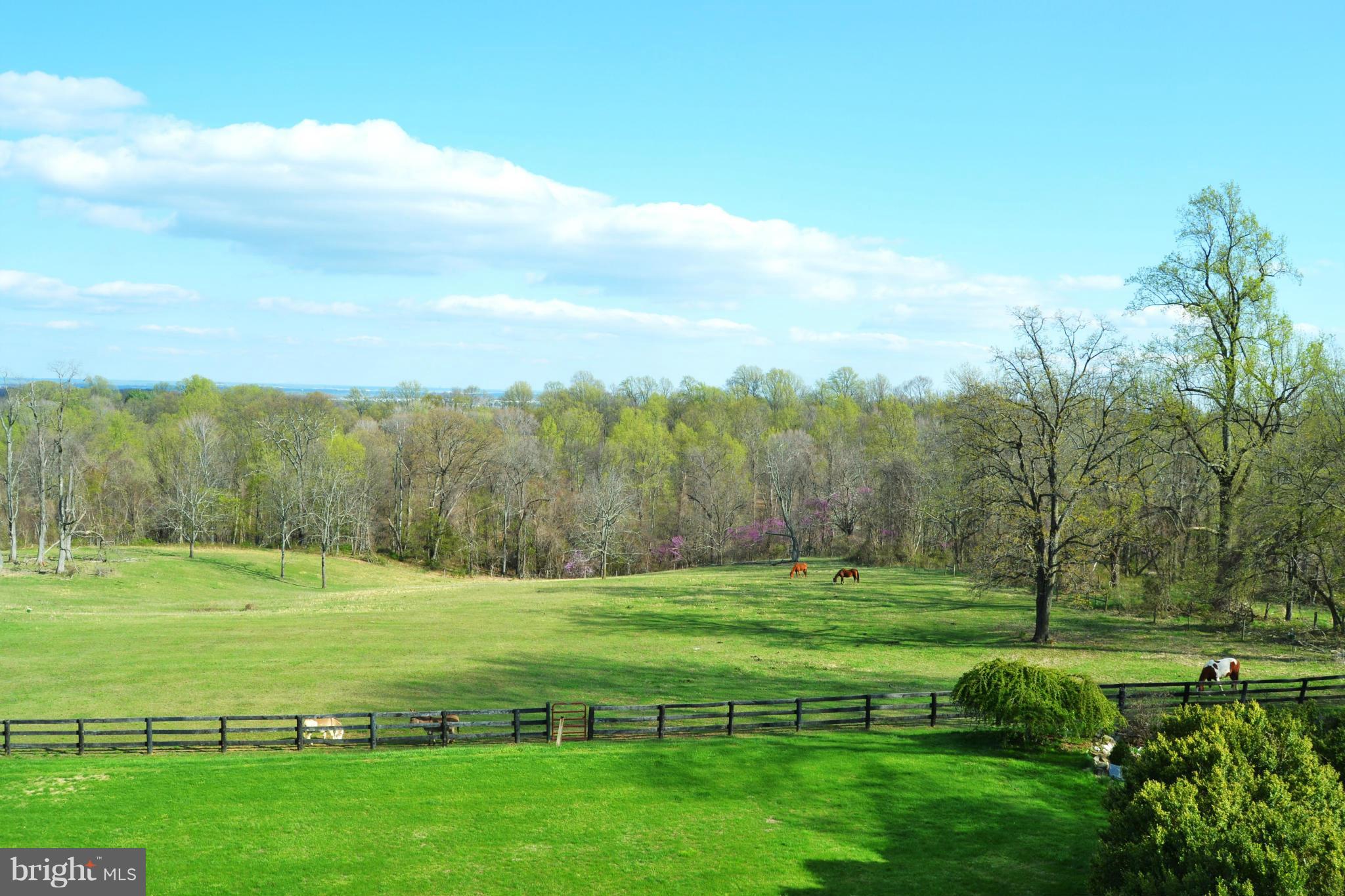 17542 Canby Road Leesburg, VA 20175 - Photo 5 of 30 Unobstructed Views