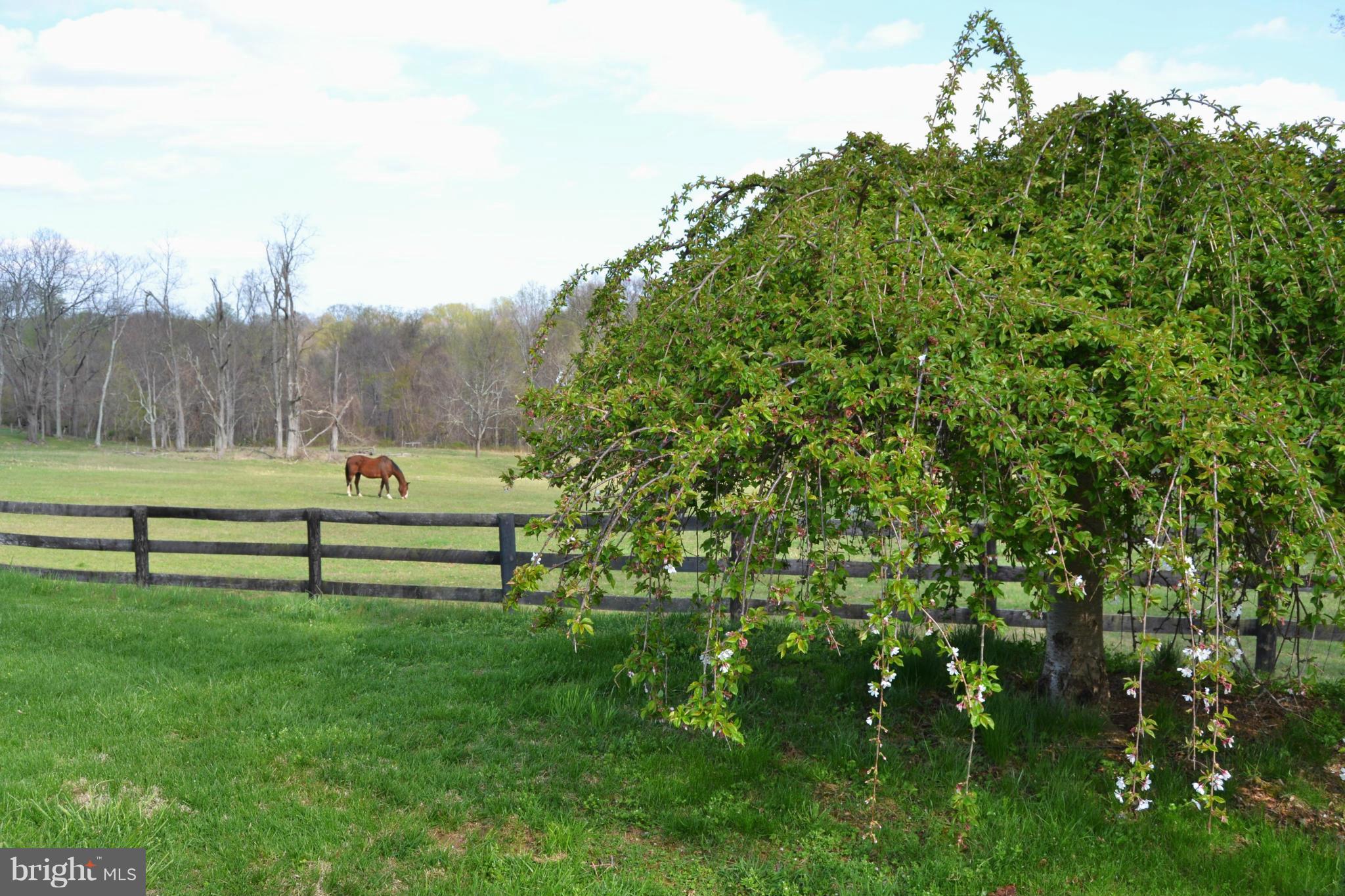 17542 Canby Road Leesburg, VA 20175 - Photo 6 of 30 Verdant Pastures