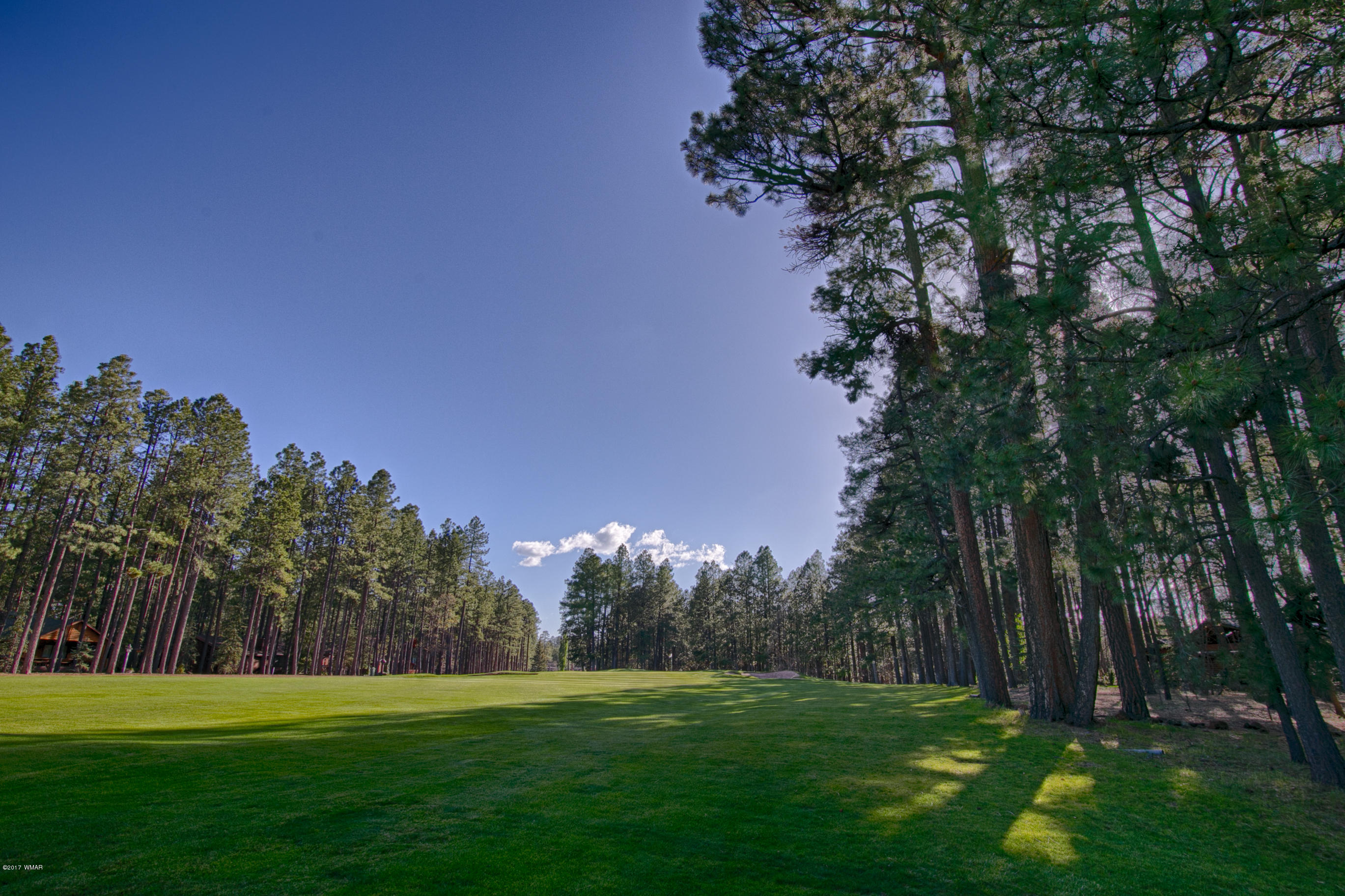 7213 Geronimo Road Pinetop, AZ 85935 - Photo 19 of 21 Gallery Image 19