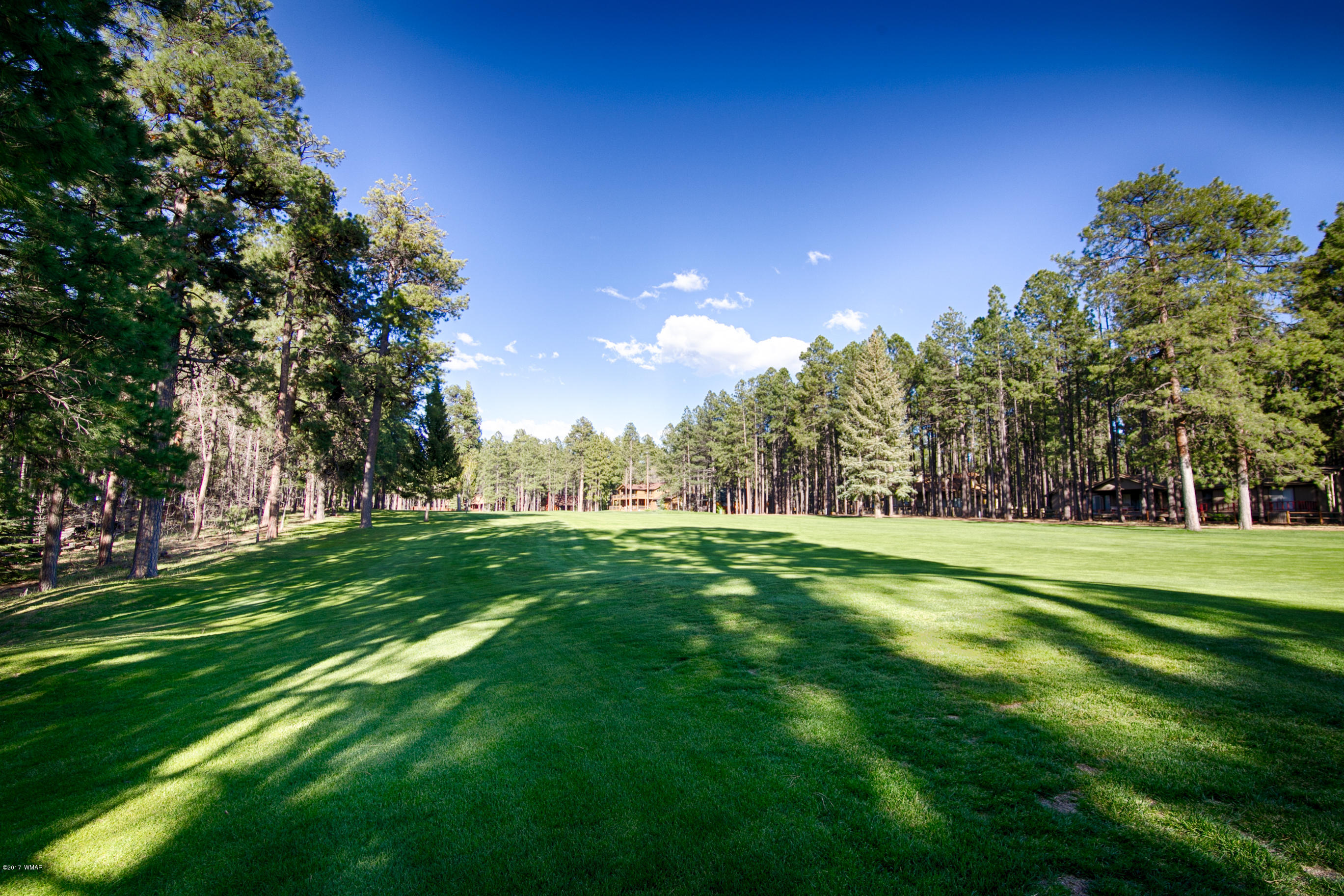7213 Geronimo Road Pinetop, AZ 85935 - Photo 20 of 21 Gallery Image 20