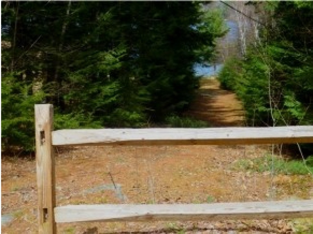 Lot 34 Needle Eye Road Meredith, NH 03253 - Photo 1 of 6