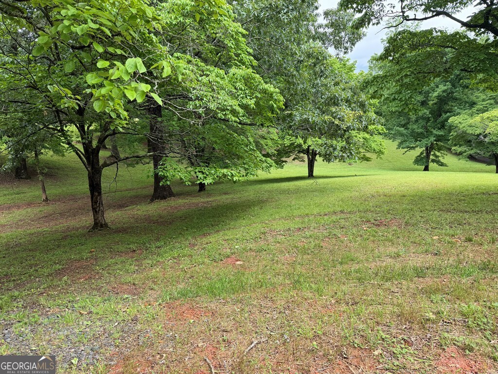 0 Drake Ridge Drive Hayesville, NC 28904 - Photo 2 of 4 a view of a field with trees in the background