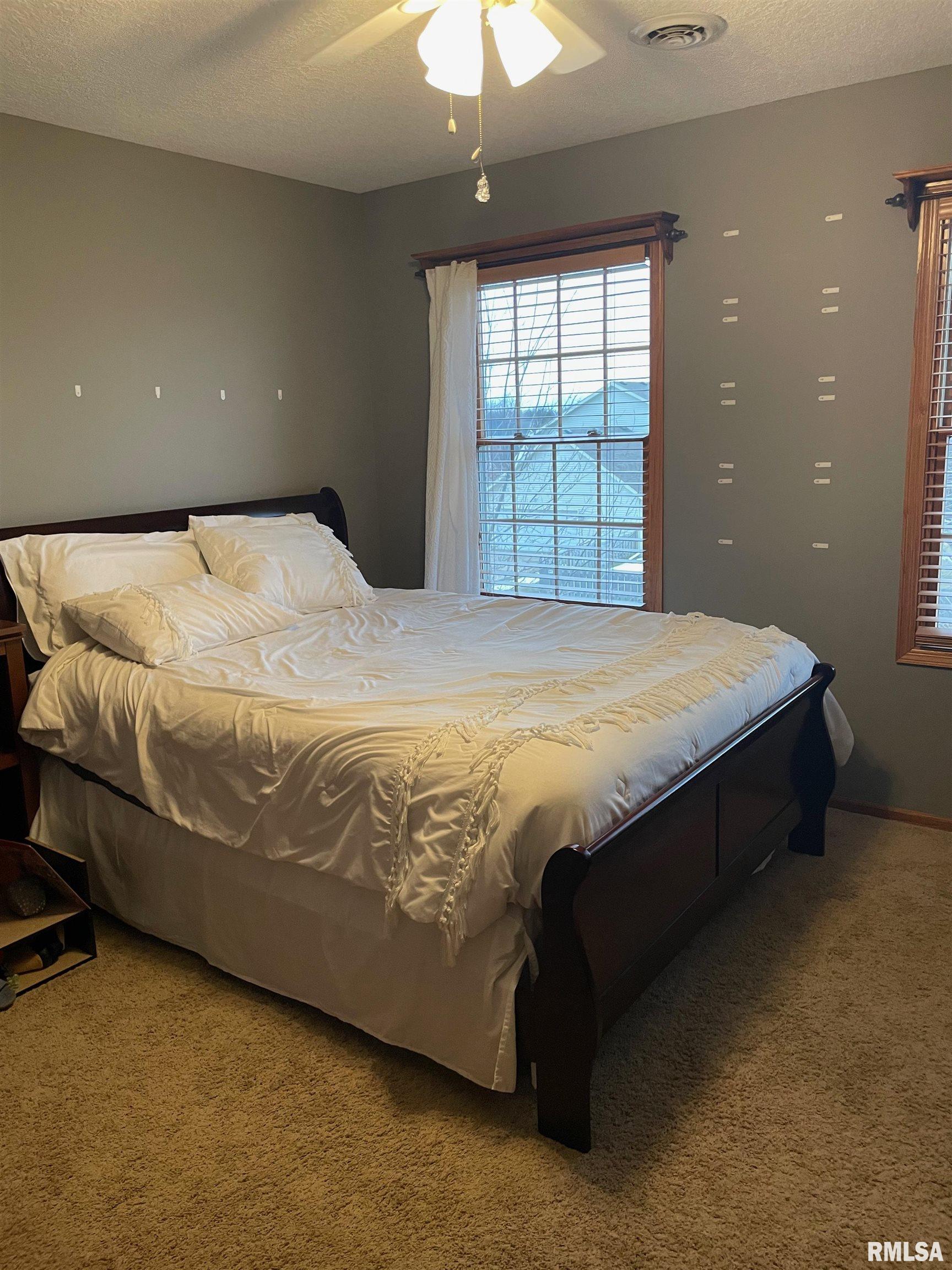 4709 Spring Street Davenport, IA 52807 - Photo 8 of 17 Gallery Image 8