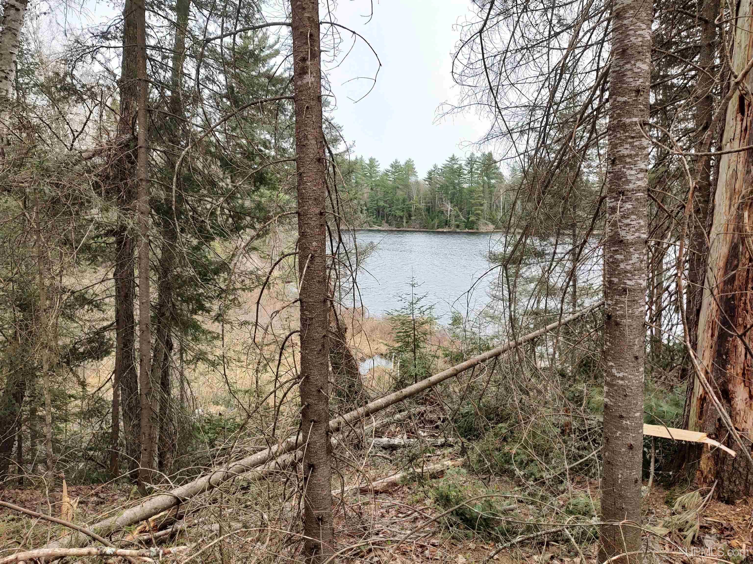 10 Fence Lake Road Michigamme, MI 49861 - Photo 15 of 42