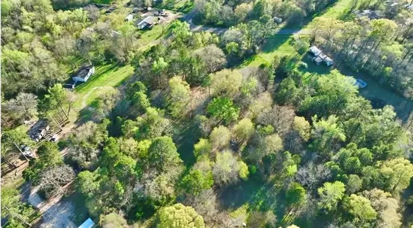 a view of a lush green forest with lots of trees