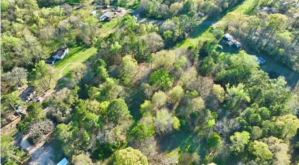 10933 County Road 384 Tyler, TX 75708 - Photo 1 of 4 a view of a lush green forest with lots of trees