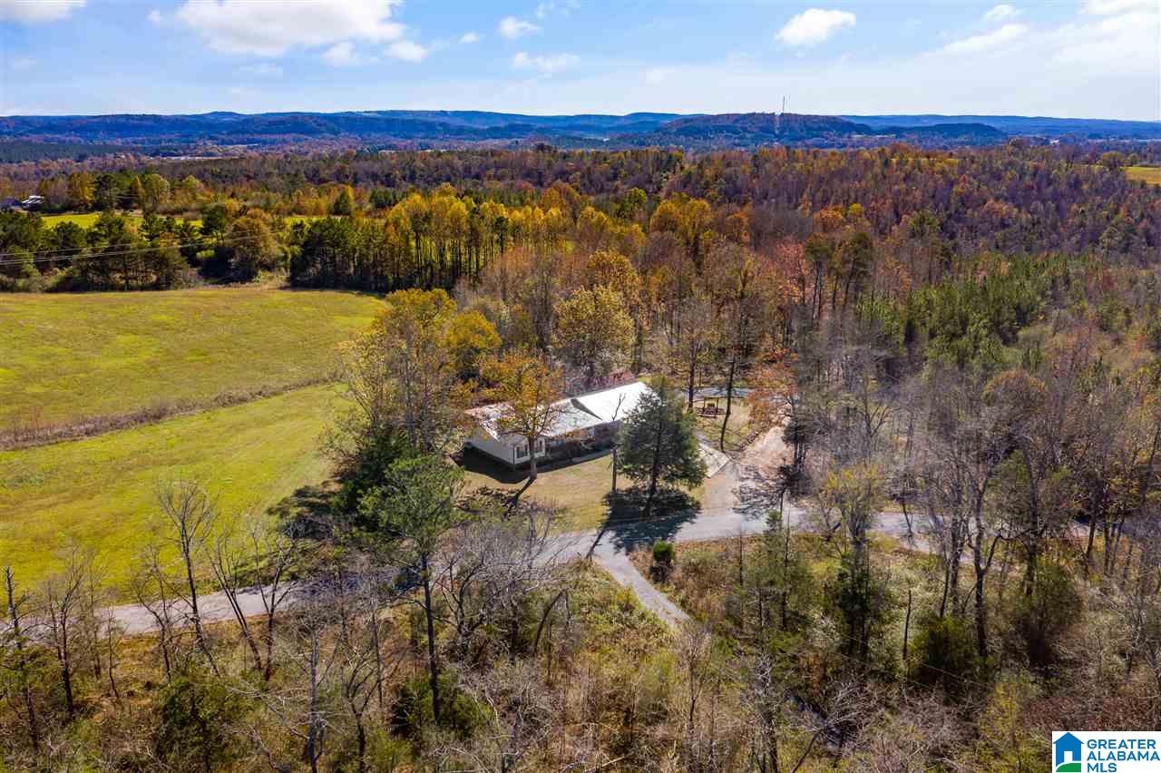 11 Posey Road Blountsville, AL 35031 - Photo 43 of 50