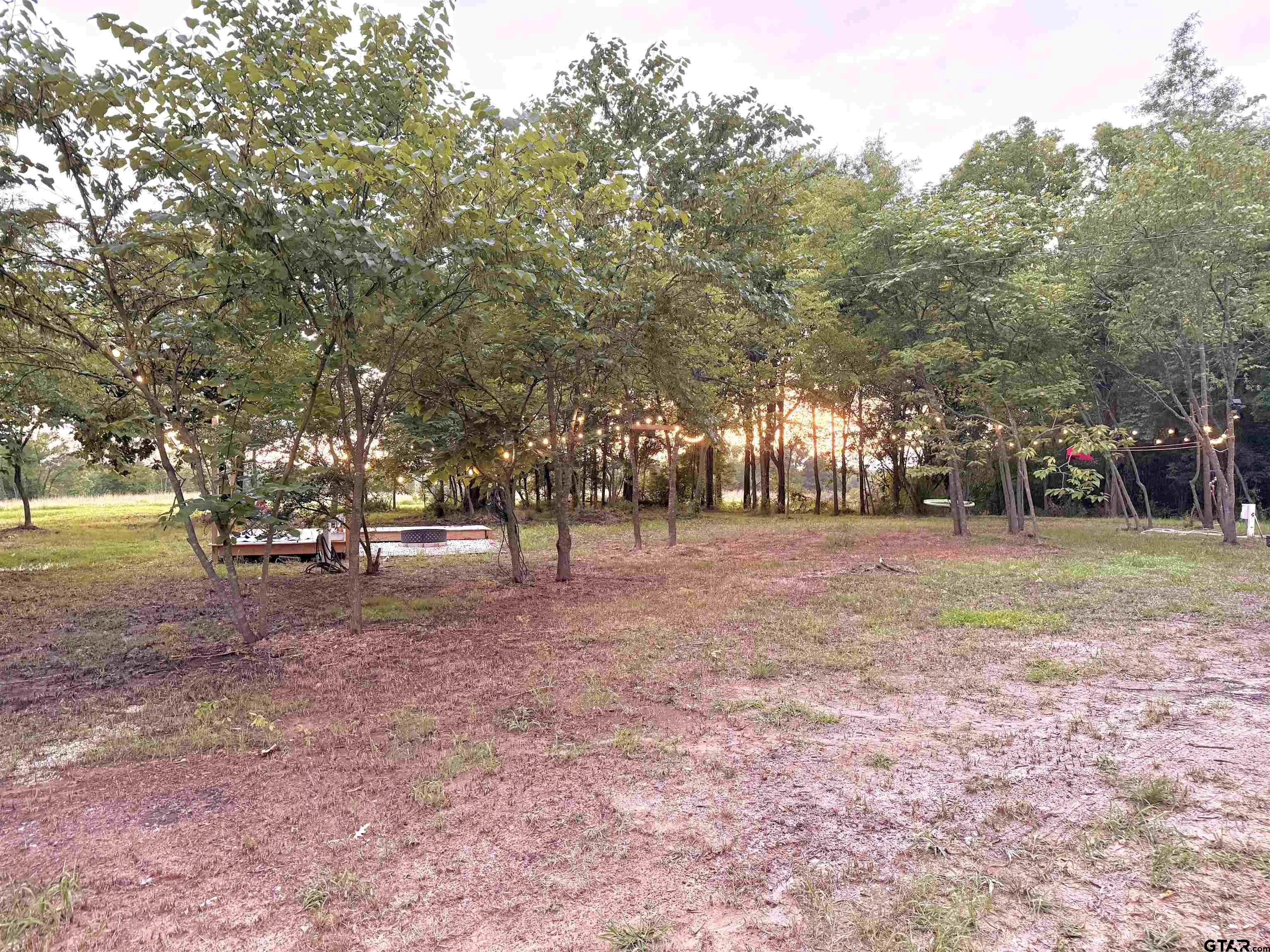 3235 County Road Cookville, TX 75558 - Photo 11 of 38 a view of outdoor space with trees