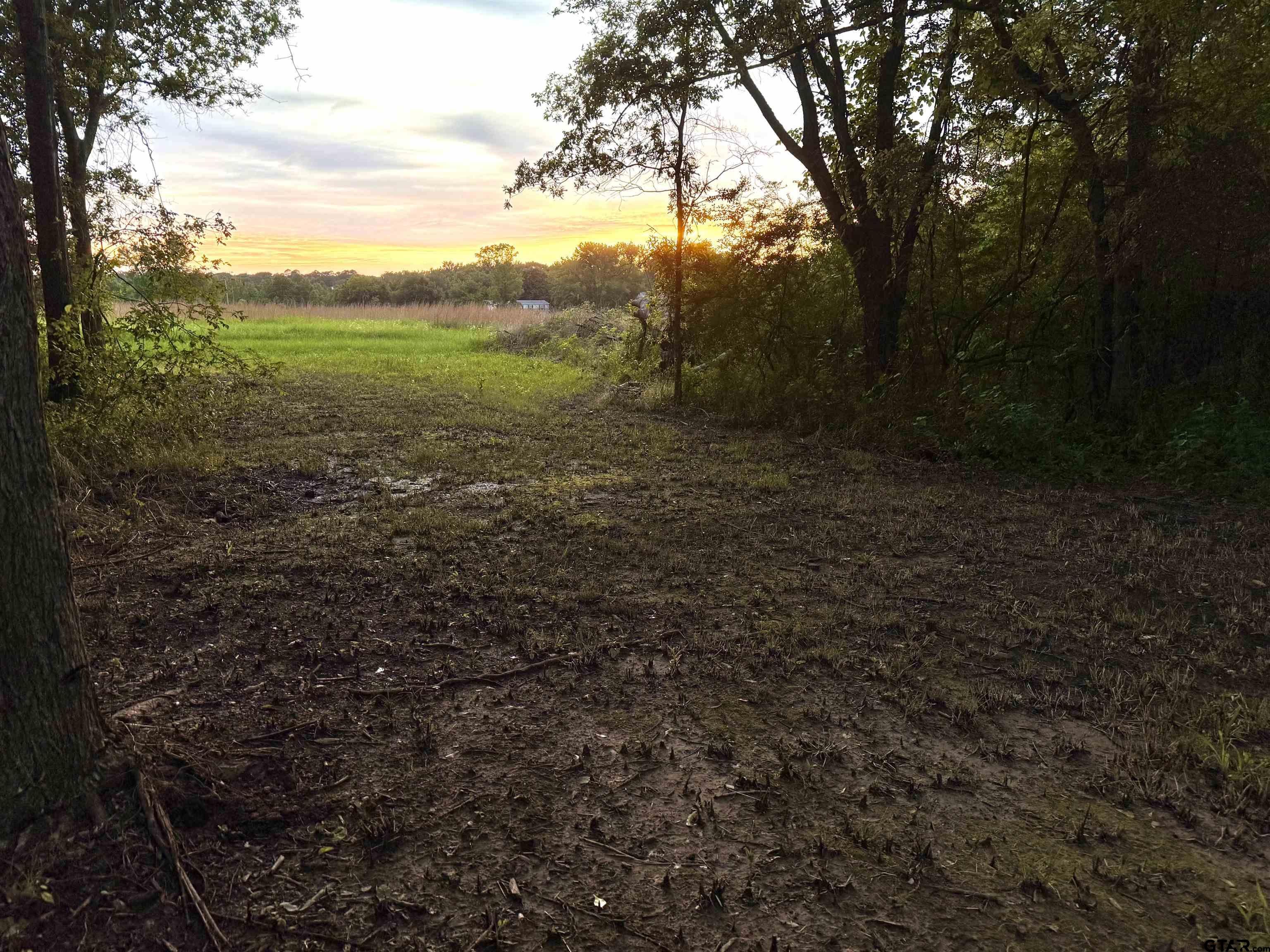 3235 County Road Cookville, TX 75558 - Photo 12 of 38 a view of outdoor space and trees