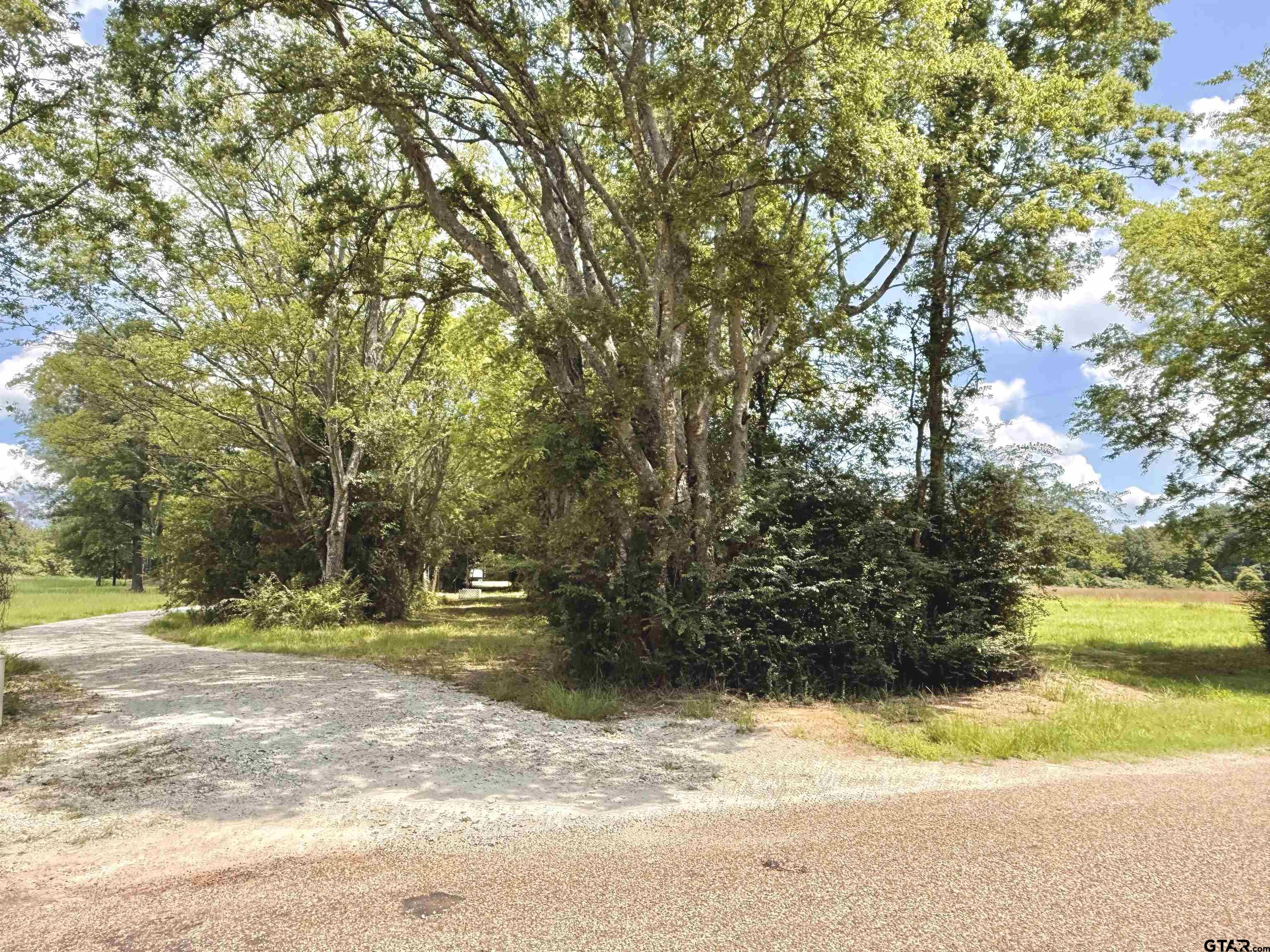 3235 County Road Cookville, TX 75558 - Photo 22 of 38