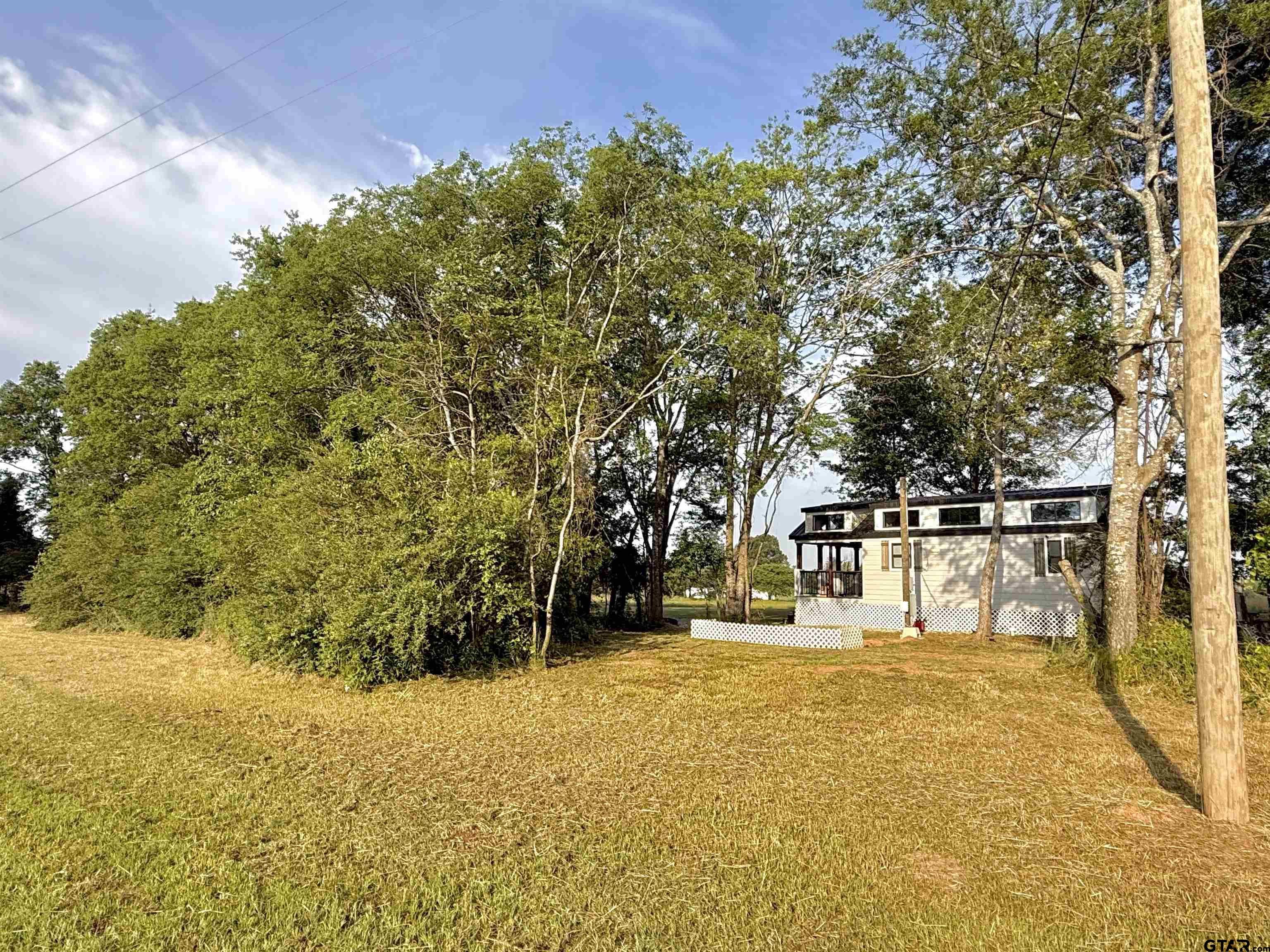3235 County Road Cookville, TX 75558 - Photo 7 of 38 a view of outdoor space with trees