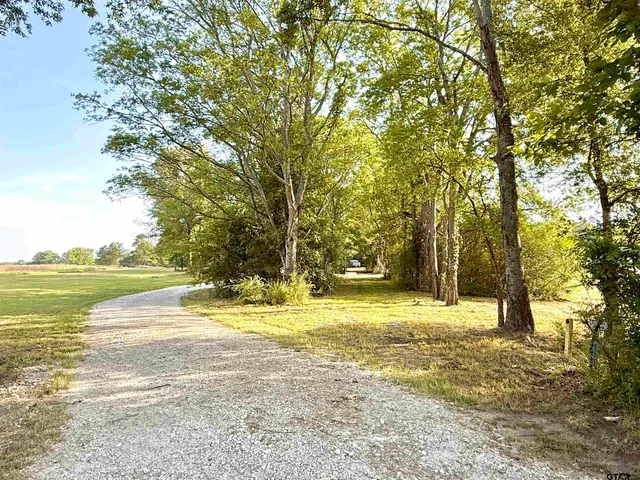 a view of outdoor space with trees