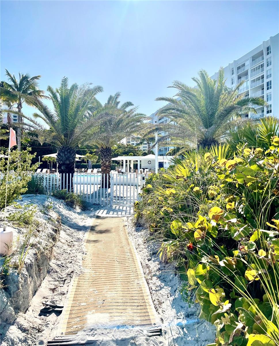 607 Ocean Drive, Unit 3K Key Biscayne, FL 33149 - Photo 9 of 18 a view of a backyard