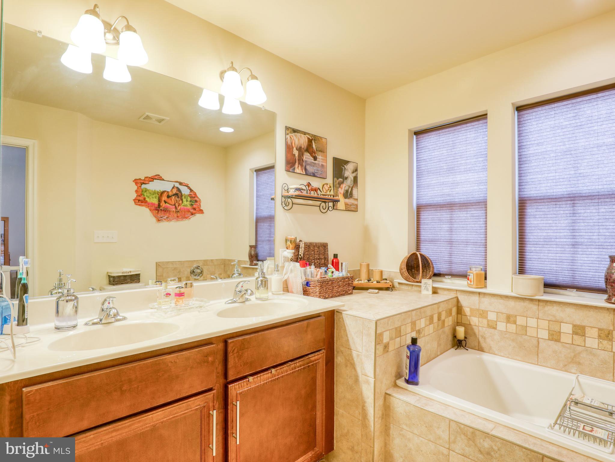 172 Schramm Loop Stephens City, VA 22655 - Photo 22 of 34 Primary Bath