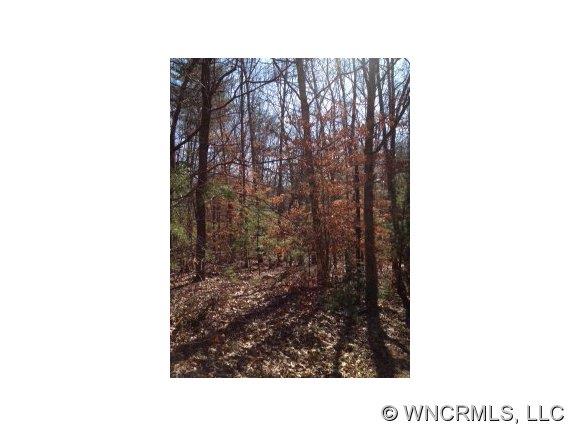 X Cisco Road Asheville, NC 28805 - Photo 1 of 1