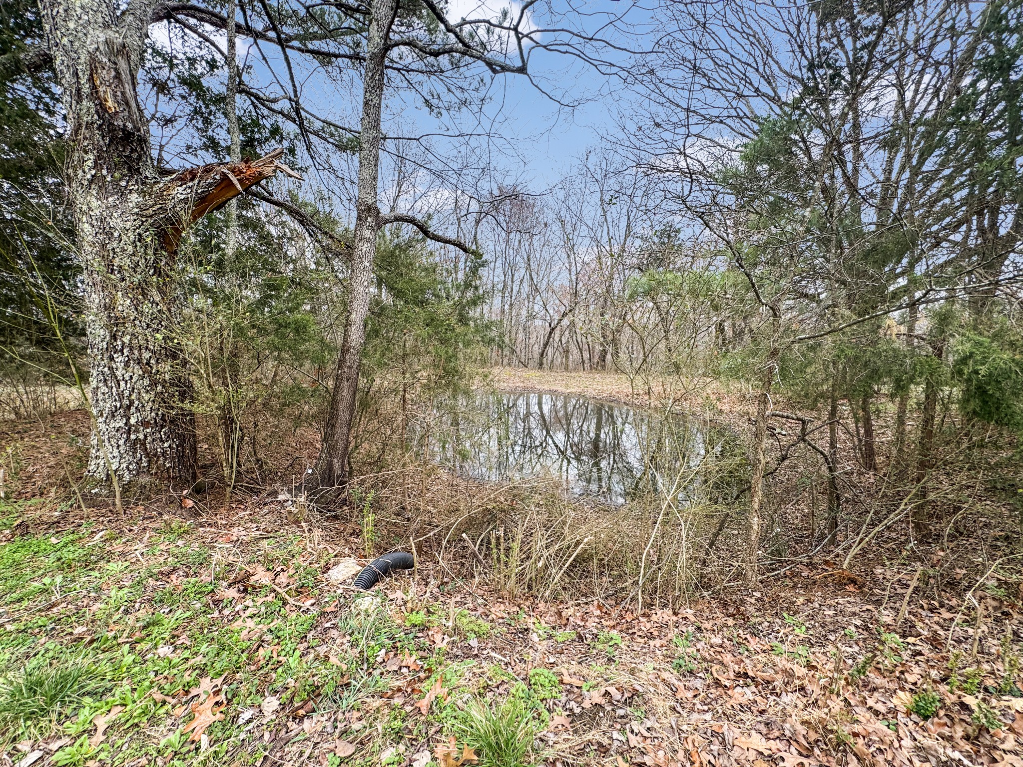 2289 Cumberland City Road Dover, TN 37058 - Photo 25 of 27