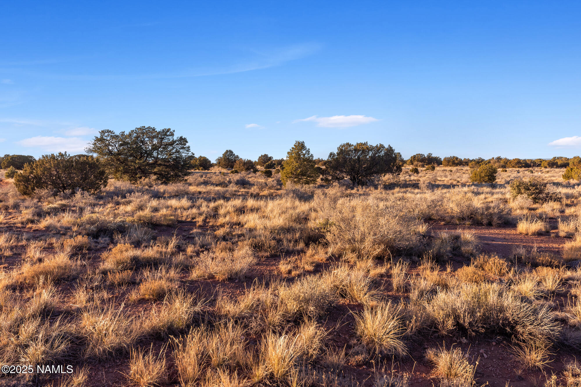 4411 East Cedar Road Williams, AZ 86046 - Photo 17 of 35 IMG_3581