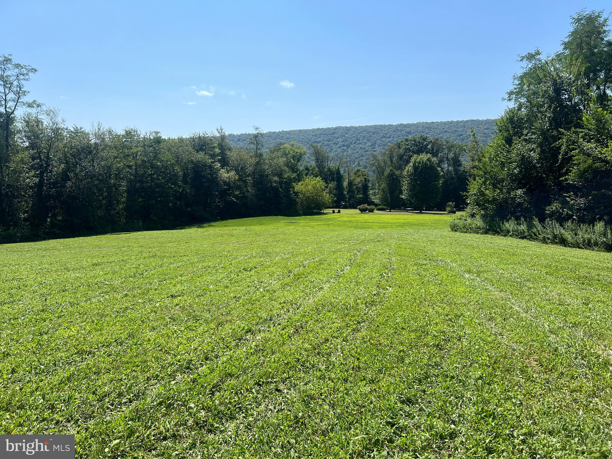 Lot 2 Maple Road Mifflintown, PA 17059 - Photo 1 of 11 Gallery Image 1