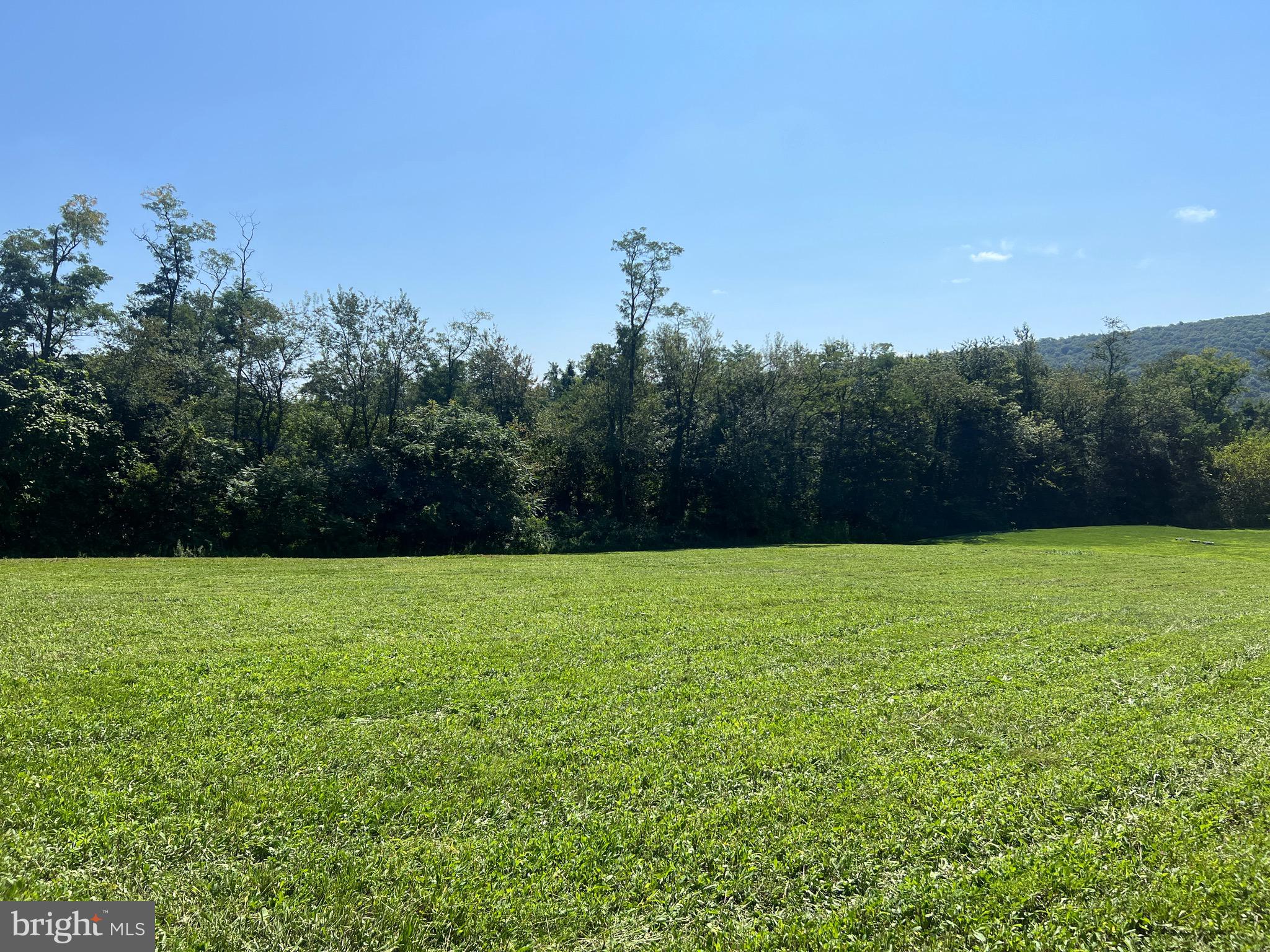 Lot 2 Maple Road Mifflintown, PA 17059 - Photo 2 of 11 Gallery Image 2