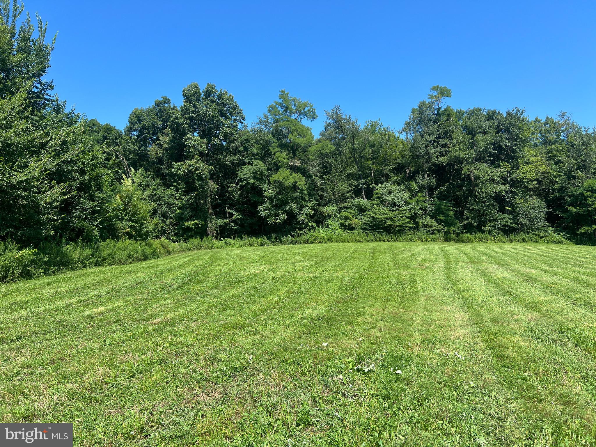 Lot 2 Maple Road Mifflintown, PA 17059 - Photo 4 of 11 Gallery Image 4