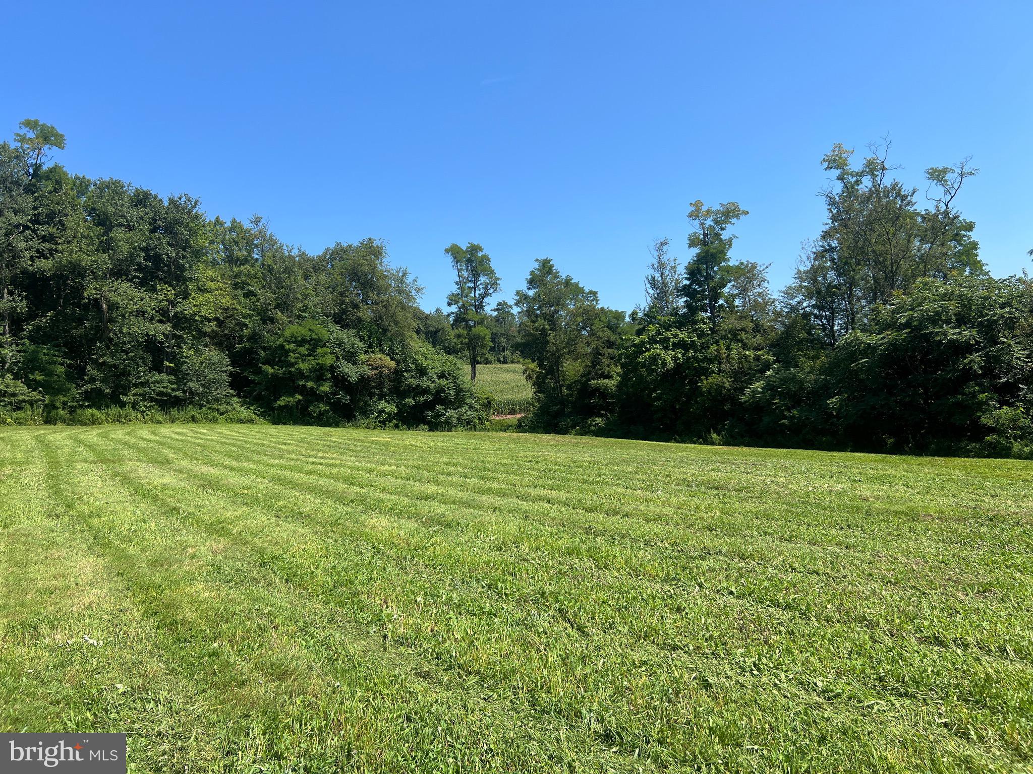 Lot 2 Maple Road Mifflintown, PA 17059 - Photo 5 of 11 Gallery Image 5
