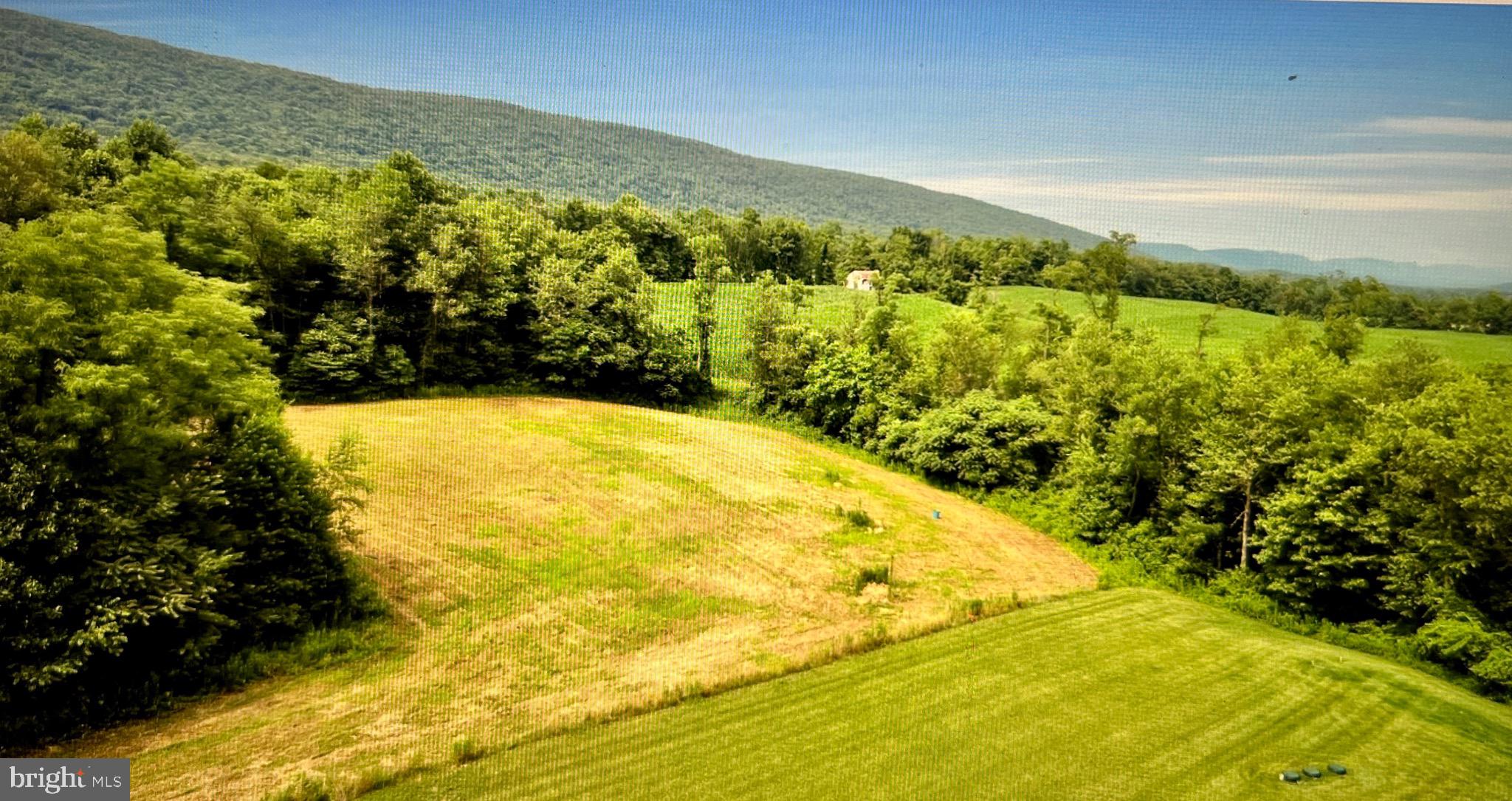 Lot 2 Maple Road Mifflintown, PA 17059 - Photo 7 of 11 Gallery Image 7