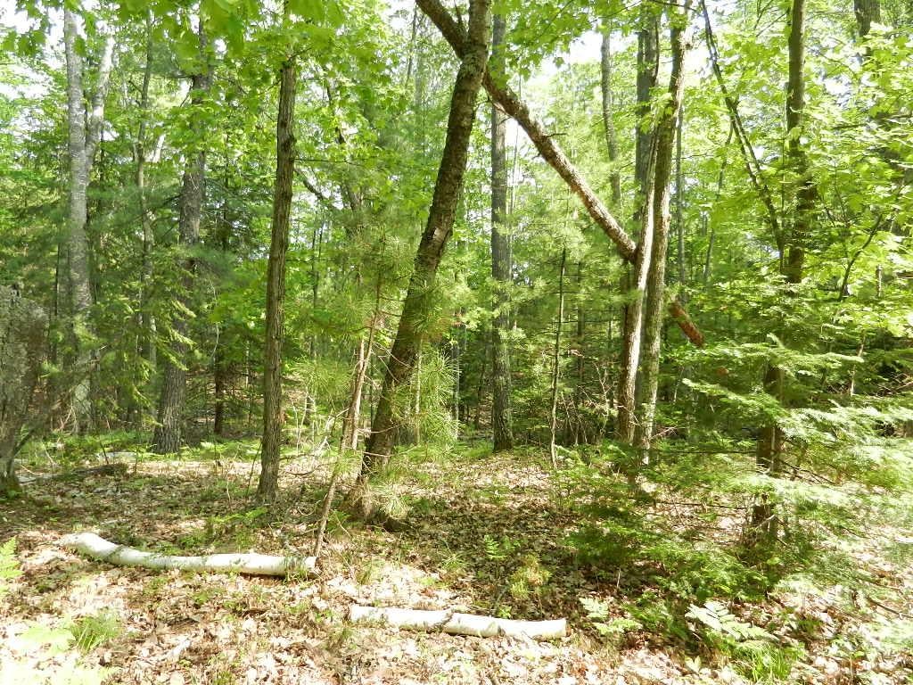 Three Timberlane Road Three Lakes, WI 54562 - Photo 6 of 6 Gallery Image 6