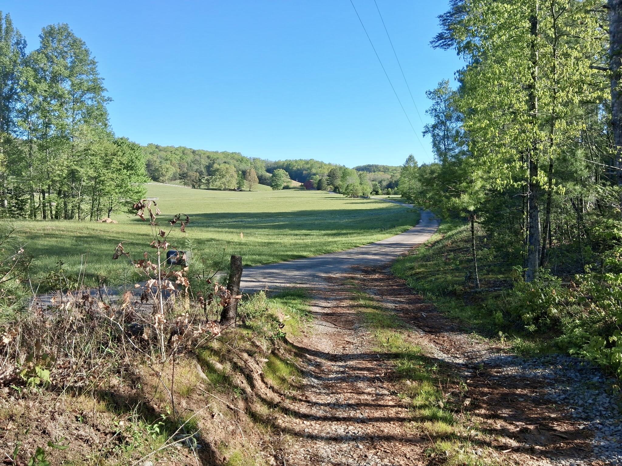 233 Fingerboard Road Tellico Plains, TN 37385 - Photo 18 of 18 1000002176