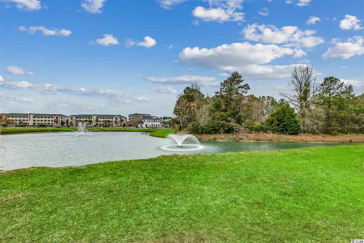 121 Waypoint Ridge Avenue, Unit P9 Little River, SC 29566 - Photo 31 of 40 Gallery Image 31