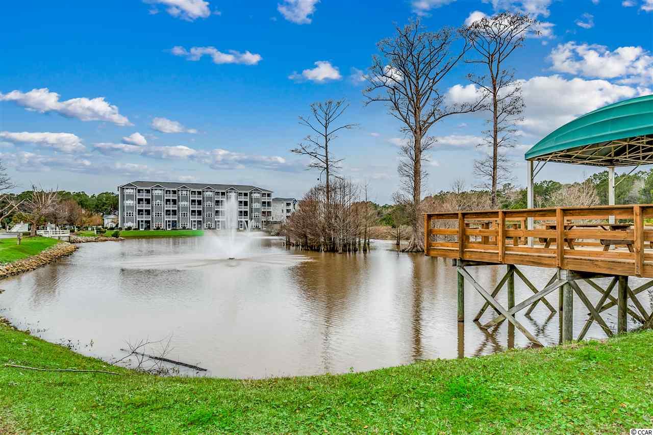 121 Waypoint Ridge Avenue, Unit P9 Little River, SC 29566 - Photo 33 of 40 Gallery Image 33