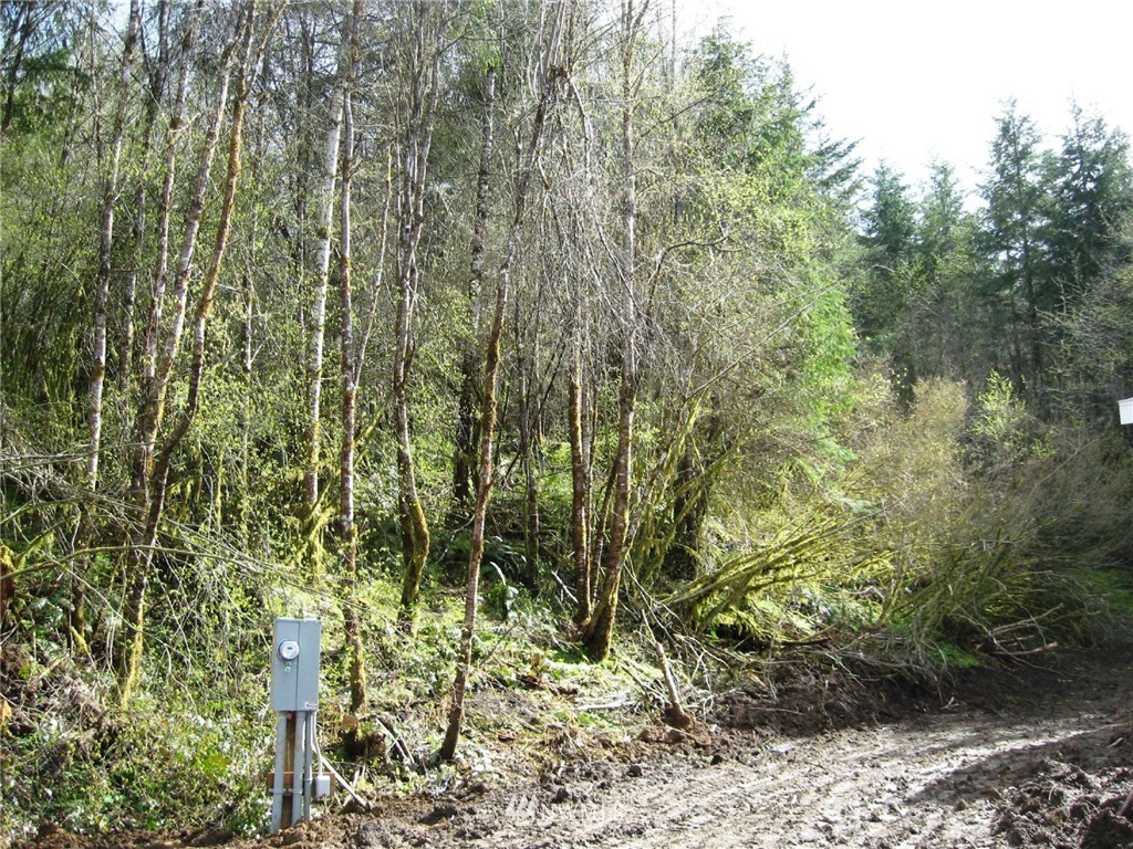 1755 Bunker Creek Road Chehalis, WA 98532 - Photo 17 of 18 Gallery Image 17