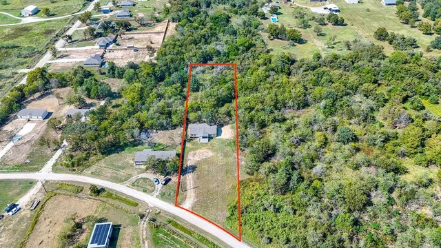 a view of a yard with plants
