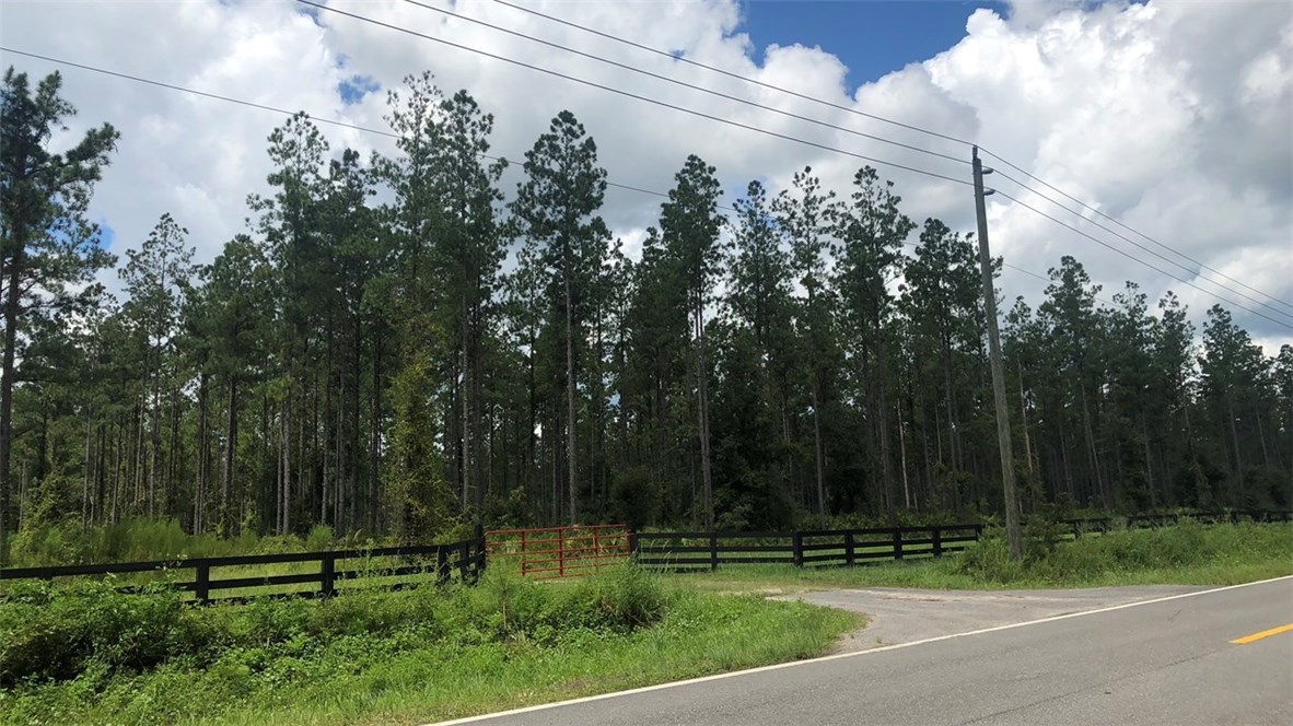 Lot 3 Griffin Road Callahan, FL 32011 - Photo 3 of 9 Gallery Image 3