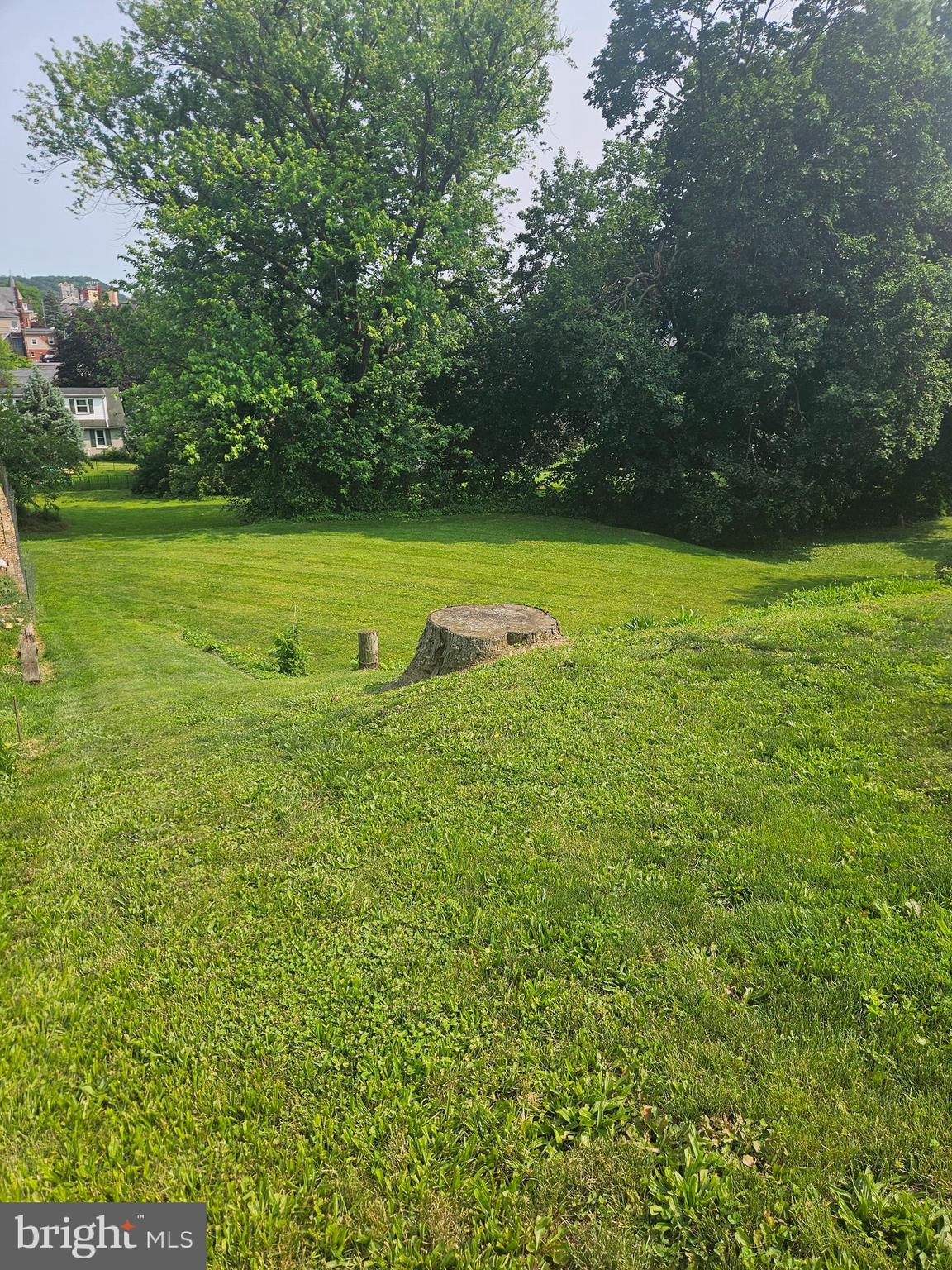 438 Maple Street Columbia, PA 17512 - Photo 5 of 14