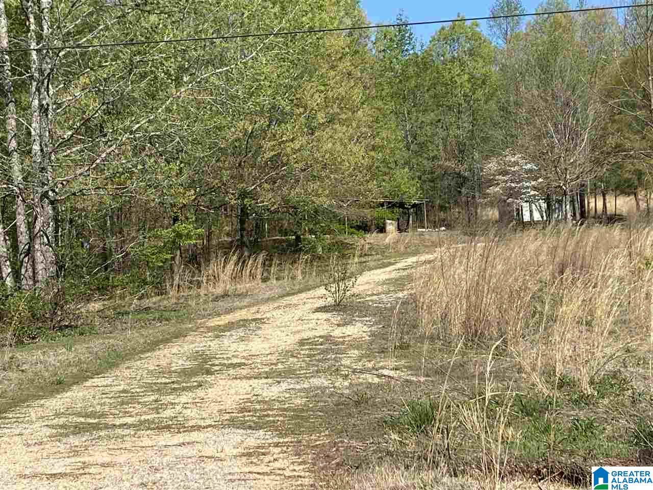 4201 Bristow Cove Road, Unit 1 Boaz, AL 35956 - Photo 17 of 23