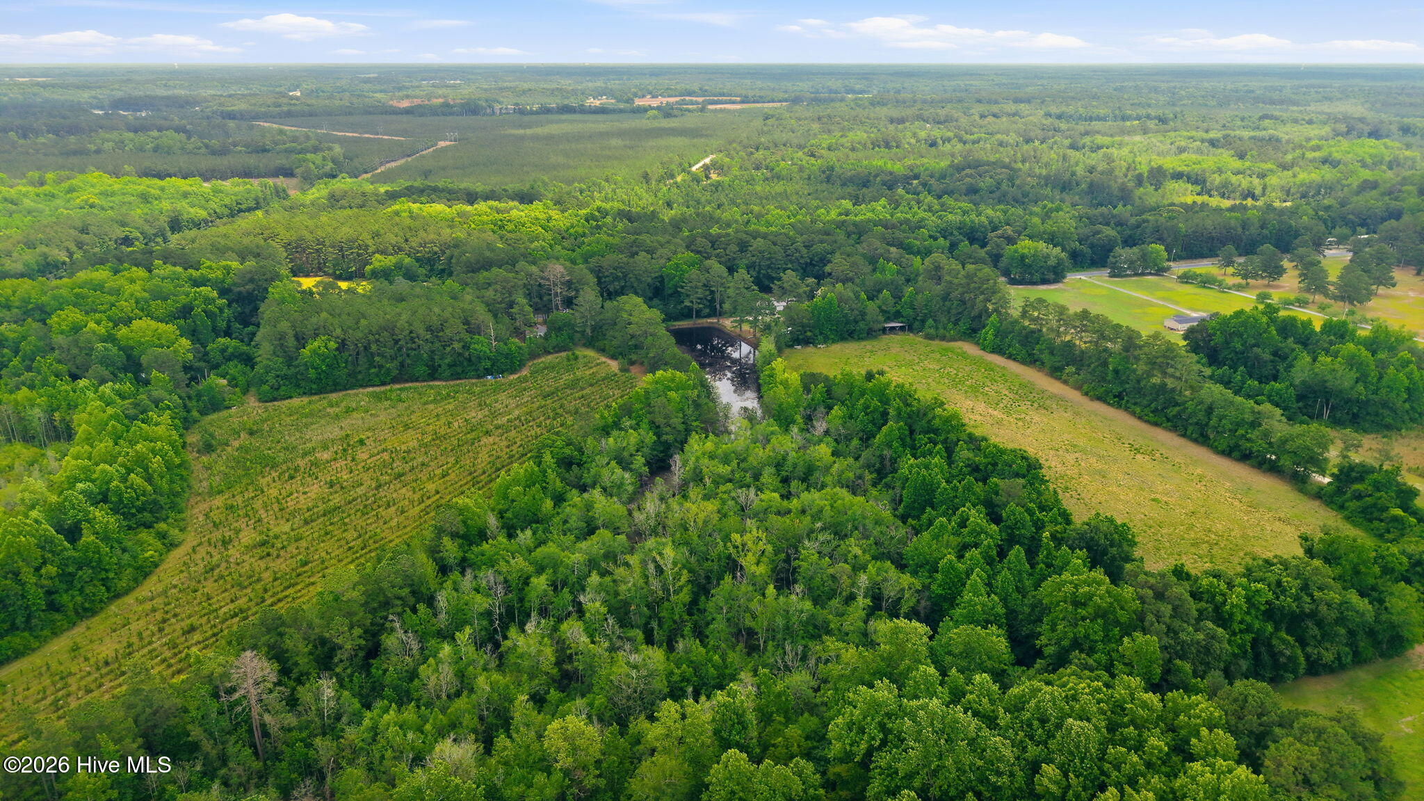 17060 St Johns Church Road Laurel Hill, NC 28351 - Photo 53 of 62