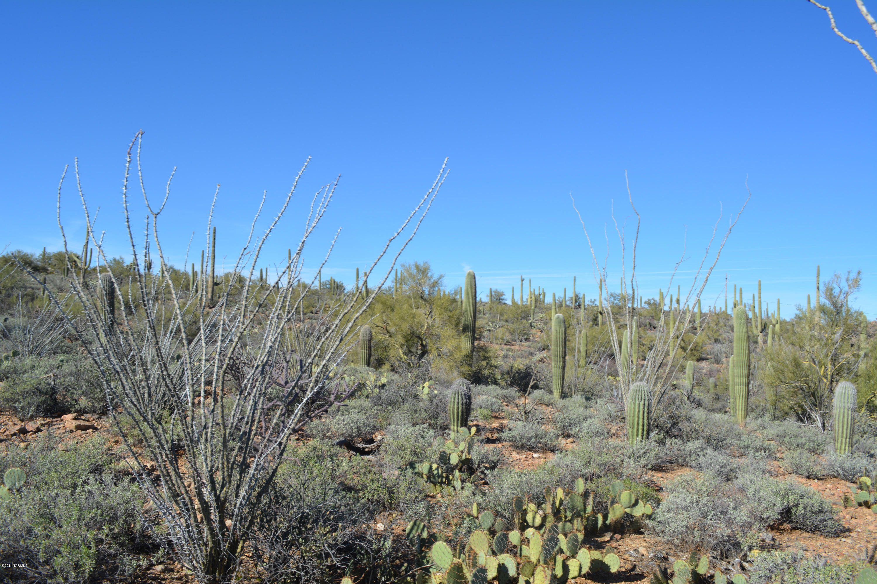 3955 North Broken Spring Trail Tucson, AZ 85745 - Photo 2 of 12