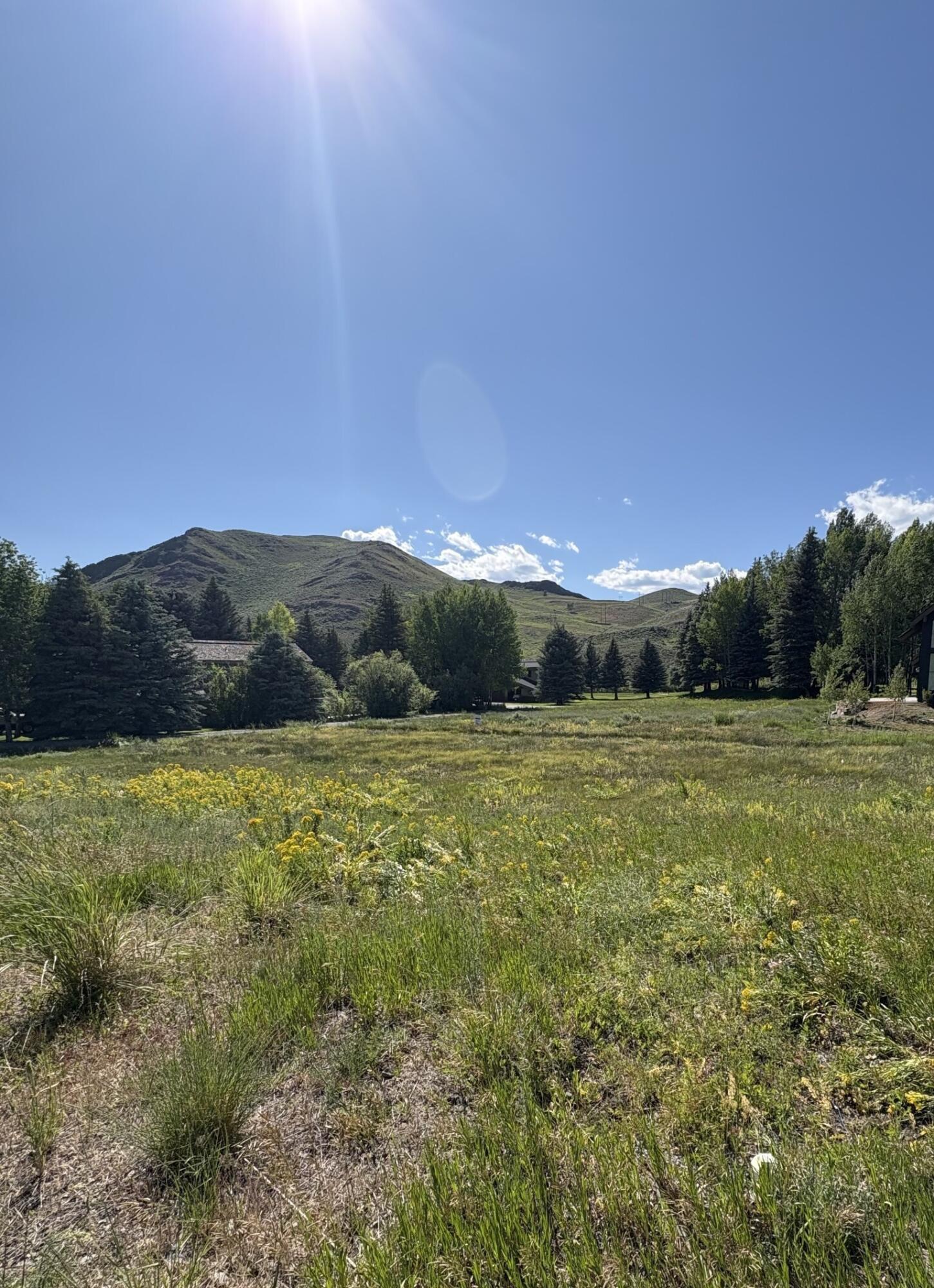 232 Elkhorn Road Sun Valley, ID 83353 - Photo 3 of 14 June 1 Copy